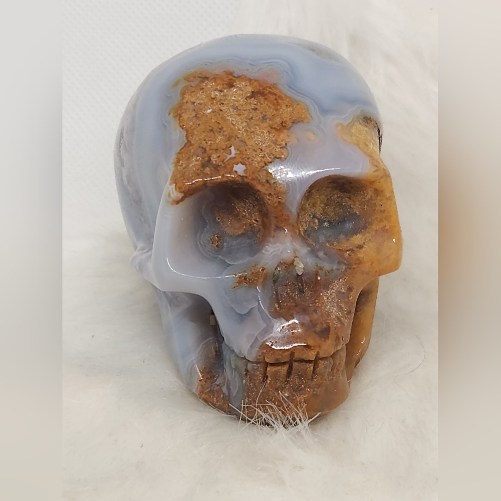 Rare Blue Banded Plume Moss Agate Skull, Druzy Quartz 💀 Crystal Collector Decor - Picture 10 of 13